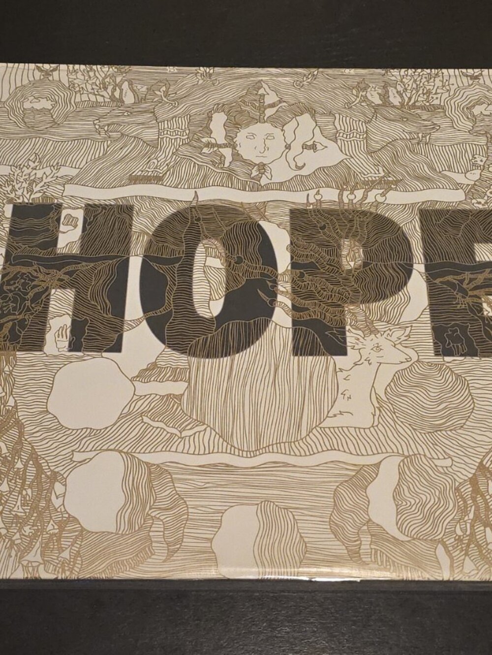 Manchester Orchestra Hope LP Vinyl Record 2014 Favorite Gentlemen